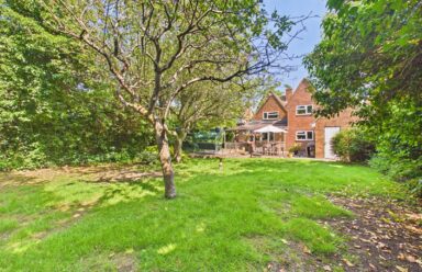 Property Image 0