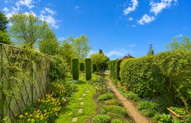 Property Image 0